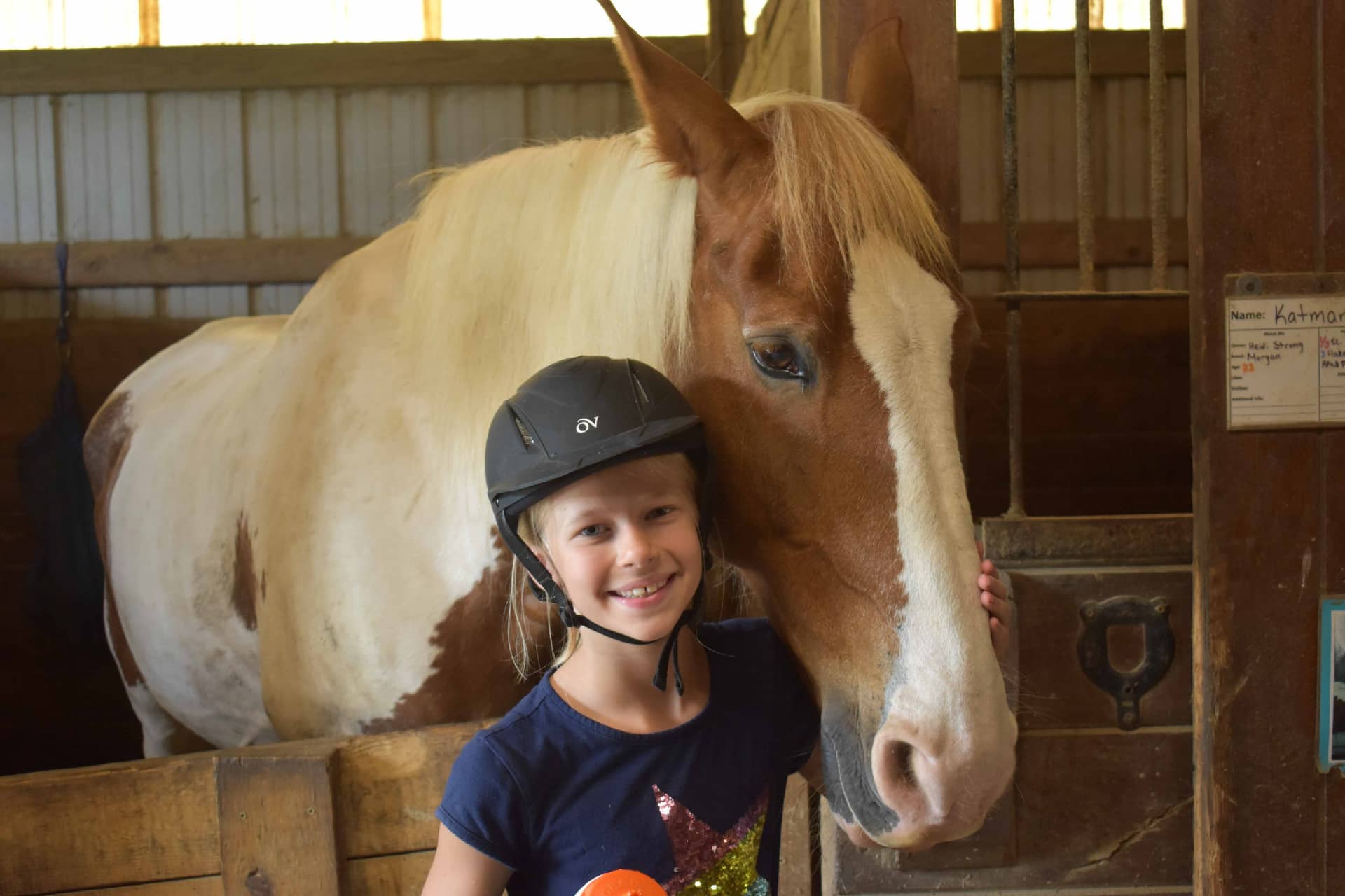 Horse Programs