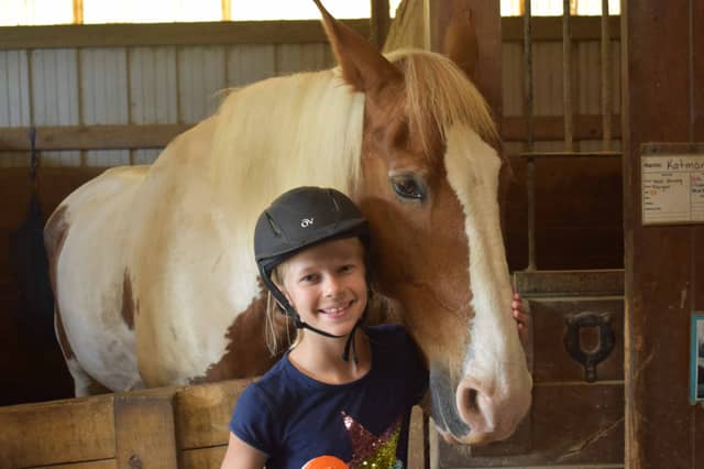 Horse Programs