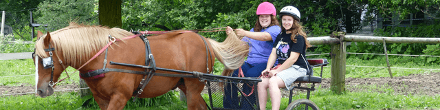 Horsin' Around Camp