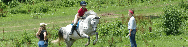 Equestrian Camp