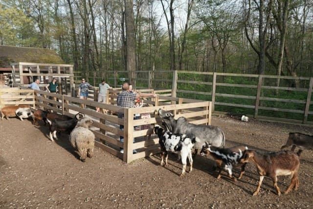 Barnyard Palooza Camp