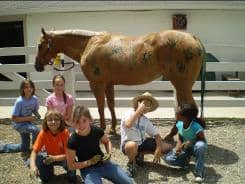 Summer Horse Lovers' Camps Full day camp