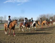 Summer Horse Lovers' Camps Half-day camp
