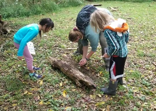 Nature Play Plus
