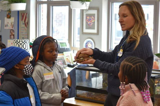Academic Readiness Program Jr.