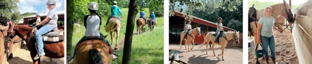 Horse Lovers Camp