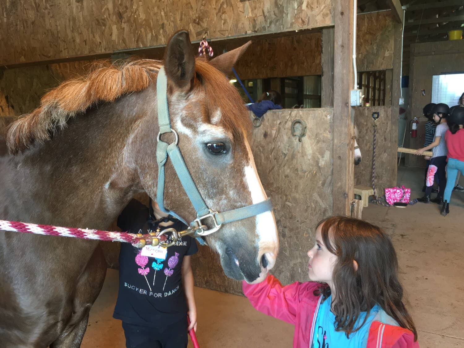Horse Lover's SATURDAY Camp
